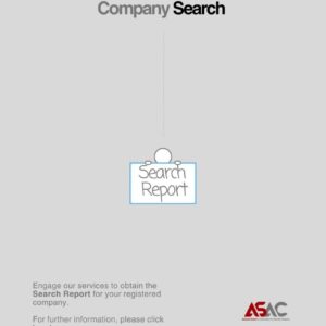 Company Search Report